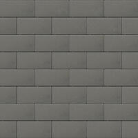  Тротуарная плитка Steinrus Прямоугольник Лайн 200х100х40 мм Серый Бассировка: внешний вид